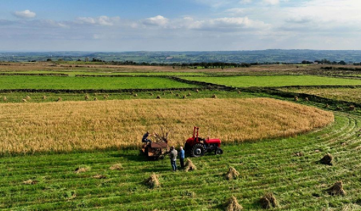 Standardizing Metrics for Measuring Regenerative Outcomes